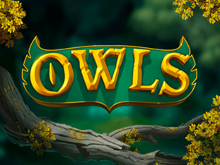 Owls game thumbnail